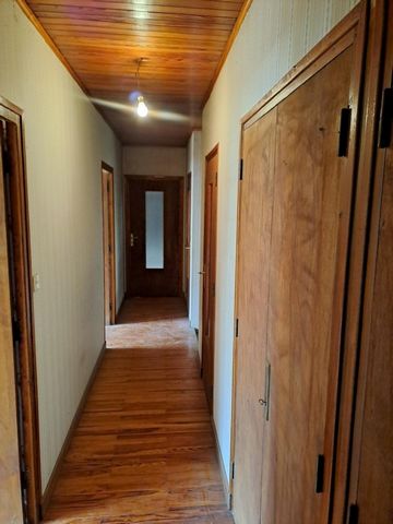 photo no. 10