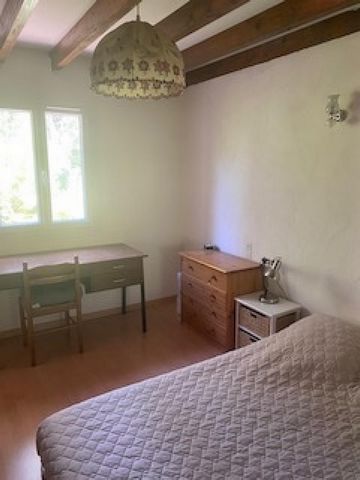 photo no. 11