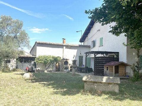 photo no. 3