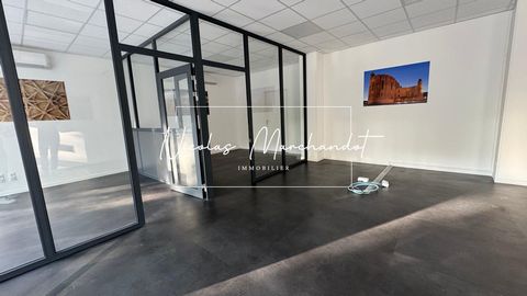 photo no. 9