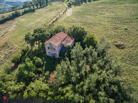 Independent farmhouse on three levels, located in a quiet and private hilly area with panoramic views over the surrounding hills and the valley, just 10 min from Todi with its shops and services. The farmhouse is structurally in good condition but in...