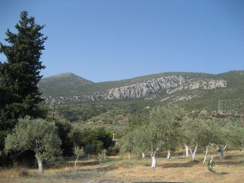 Building land of 10.000 sq.m. for sale at the location “Sterna Pigadaki-Karlakona” of the municipal unit of Epidaurus. The plot is corner, with 2 entrances on 2 main streets, within the city plan, can be built 3 maisonettes of 400 sq.m. with roof, ca...