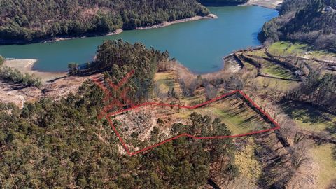 Terreno para venda junto à Barragem do Ermal, a 10 minutos do Gerês e a 15 minutos da cidade de Braga, com cerca de 8.860m2. Nos arredores poderemos encontrar variadas atrações turísticas, tais como a Barragem do Ermal, Barragem da Caniçada, Parque N...