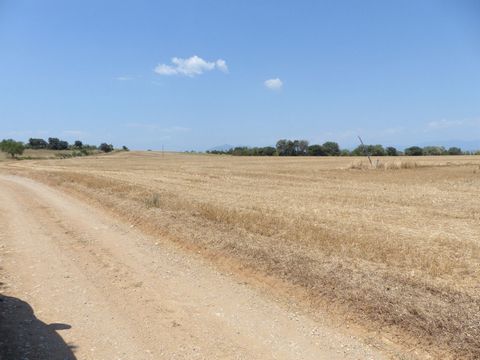 DOMUM EUROPA offers you this large irrigated estate in the Alt Emporda with 80 hectares practically flat and 3,300 m² built ideal for rural tourism or livestock with a capacity of 500 head of cattle. Its buildings included in the catalog of farmhouse...