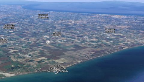 Land for sale in Lechaina, Kyllini, peloponnese. The plot is 35,480 sq.m. outside the city plan. Frontage in meters: 506 View: Unlimited Buildable Drilling With a building of 100 sq.m. Dimensions: 206x144 Amenities: Electricity, water, Distance from ...