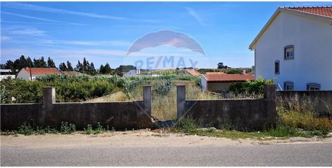Land consisting of urban plot and rustic land, located in Delgada, 2 minutes from the A8 motorway, 5 minutes from the center of Bombarral and about 20 minutes from the beach