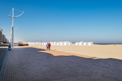 Cet appartement rénové de 2 pièces en rez-de-chaussée surélevé est situé sur la digue avec vue mer. L'appartement est meublé de façon moderne. Il est situé au calme au bout de la digue, à proximité des dunes et pourtant à distance de marche des resta...