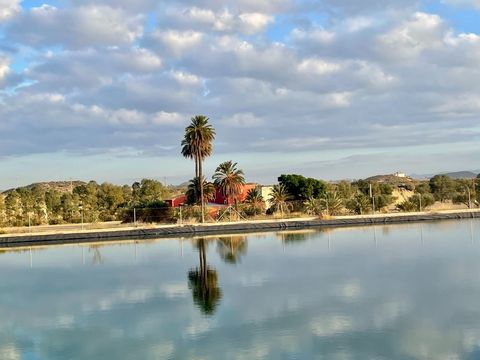 These are two registered properties very close to the beach of Mojácar. 1.- The larger property (205.000 m2) is totally flat, with cultivable land in its entirety, and has a water reservoir of 15.000.000 litres. The property has water conduction and ...