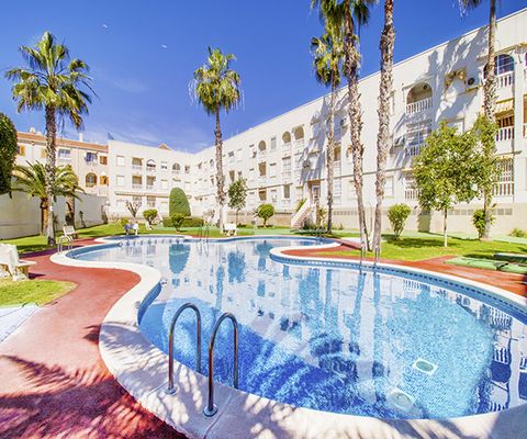 We offer for rent a cozy apartment in a gated community, with a swimming pool, located 150 meters from the sea, about 300 meters from the sandy beach of Asequion. 10-15 minutes walk from the Torrevieja seafront and parks. This is an apartment in whic...