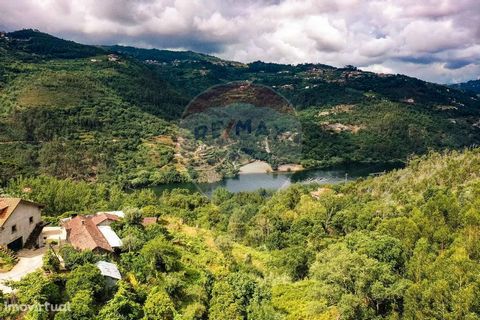 Property with five villas to rehabilitate inserted in a plot of land with 2480 m2. Every housing complex overlooks the Douro River and the plot of land is crossed by a small stream. Good access and great sun exposure. It is located on the right slope...