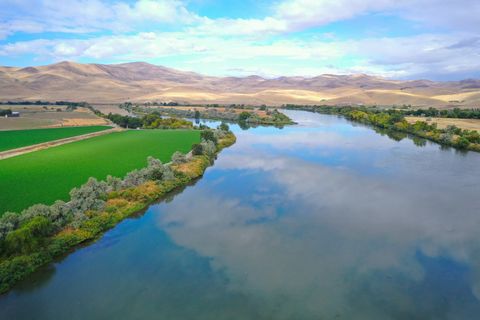 Conductor Riverfront Farm is nestled in the rural countryside in the northeast portion of Malheur County on 96 acres along the Snake River. The irrigated farm includes a 3-bedroom farmhouse, water rights directly out of the Snake River, and 65 acres ...