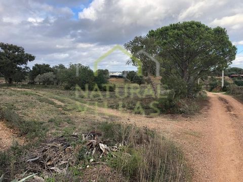 Rustic land in a fantastic area in Faxelhas, Silves, in the Algarve. The rustic property has a wonderful total land area of 4,420m2, with arable culture and trees characteristic of the region. Prefers access by dirt road within walking distance of th...