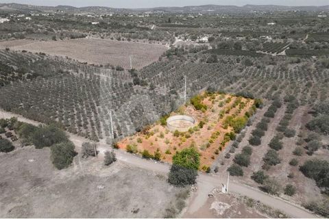 Terreno con una superficie total de 3240m2. Con una superficie bruta de construcción de 216m2. La propiedad está en ruinas. Se encuentra en la parroquia de São Bartolomeu de Messines. El acceso a la propiedad es por camino asfaltado. Construye la cas...