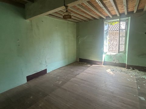 photo no. 4