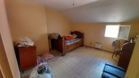 photo no. 19