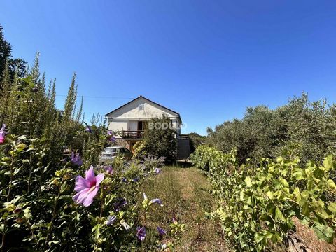 This family house is located in the village Ugljan, hamlet Batalaža, on the island of Ugljan, at the very edge of the construction zone, surrounded by beautifully landscaped olive groves and Mediterranean vegetation. The house consits of two floors -...