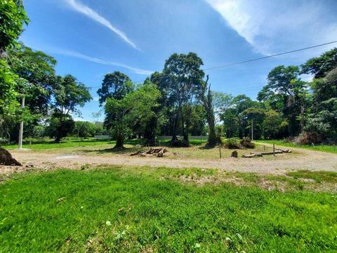 Located in a quiet residential area, this plot offers a unique opportunity to build the home of your dreams. Lot characteristics: -Location: Just a 5-minute walk from the pristine Playa Negra. -Access to services: Electrical cable available right in ...