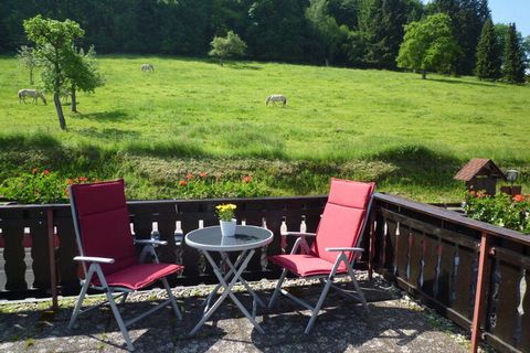 Appartement *** calme à Bad König, vue panoramique, grand balcon orienté sud, WiFi, TV LCD, Francfort à 60 km. Thermes d'Odenwald, grotte de sel à Bad König