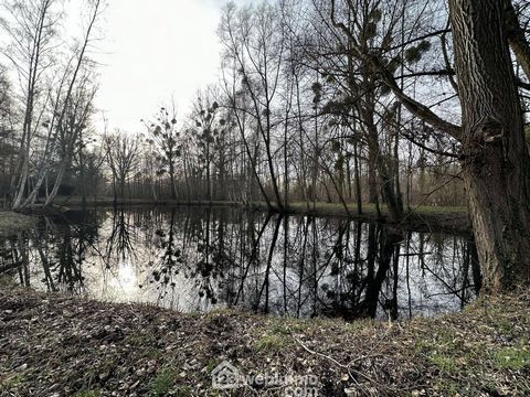 photo no. 2