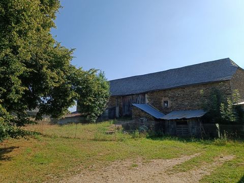 photo no. 4