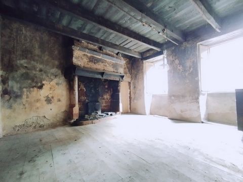 photo no. 5