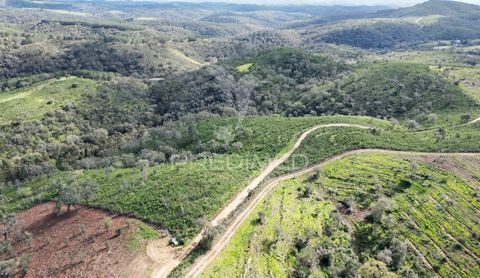 Finca con 26.9875 hectáreas y una ruina registrada con 104m2. Acceso por un camino asfaltado a la propiedad. Con alcornoques. Terreno un poco accidentado.   Distancias: Estación de tren de Funcheira – 35 km Odemira – 13 Km Playas – 30 km Lisboa – 210...