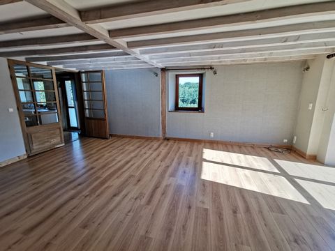 photo no. 16