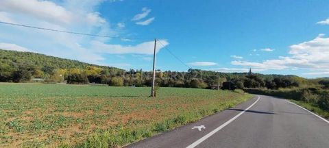 Great opportunity to acquire ownership of this land. It is located on Carrer del Puig, in the municipality of Sant Martí Vell, province of Girona. This plot is located in a residential environment, mainly of a detached and tourist house, surrounded b...