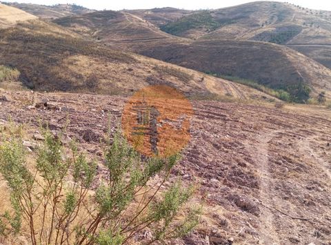 Rustiek land gelegen op de Galharda-site (Serro Alto), goede gebieden, goede toegang, volledig schoon, met enkele fruitbomen (olijfbomen, wijnstokken, sinaasappelbomen, abrikozenbomen) en een put met water het hele jaar door. Er loopt een onverharde ...