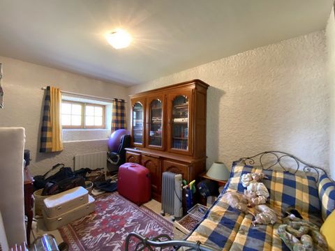 photo no. 15