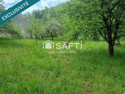 TERRAIN CONSTRUCTIBLE AVEC VIGNE