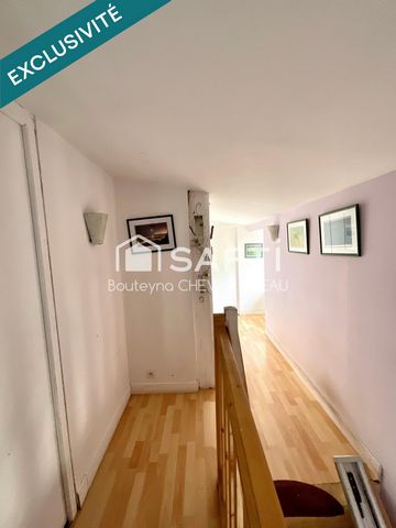 photo no. 17