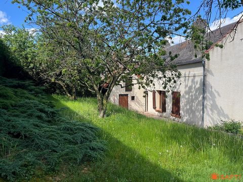 photo no. 10