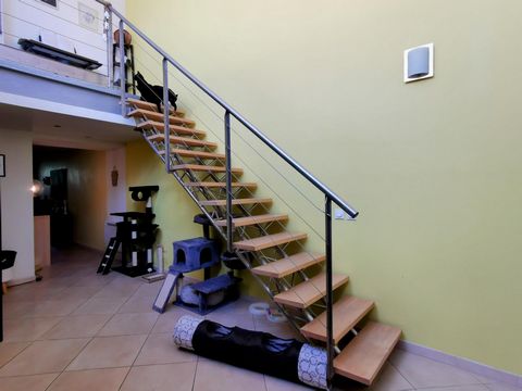 photo no. 6