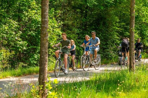 Dit vrijstaande vakantiehuis staat op het natuurrijke vakantiepark Resort De Hooge Veluwe. Het ligt pal tegenover het mooie en unieke Nationaal Park Hoge Veluwe en toch op maar 9 km. van het gezellige centrum van de stad Arnhem. Het vakantiehuis is m...
