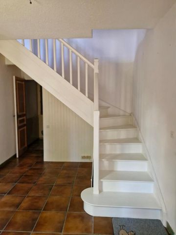 photo no. 6