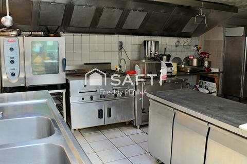 photo no. 11