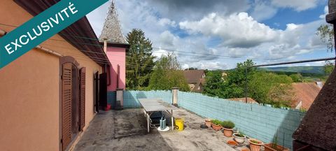 photo no. 12