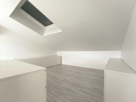 photo no. 8