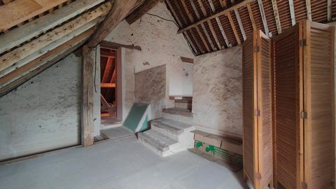 photo no. 13