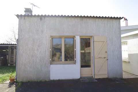 photo no. 12