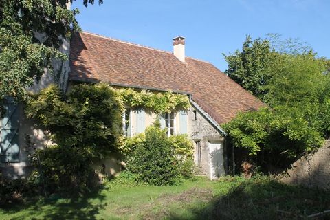 photo no. 2