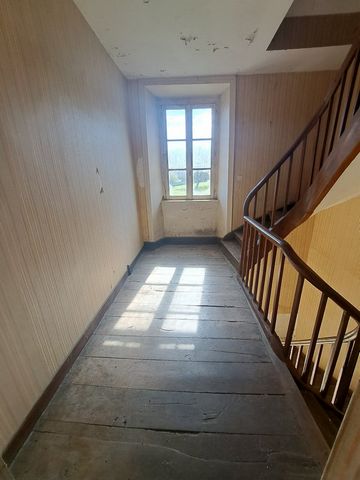 photo no. 11