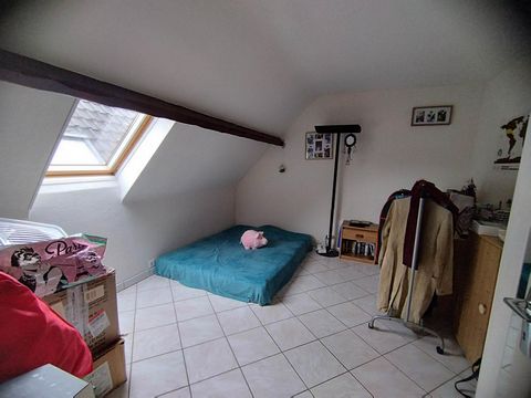 photo no. 10