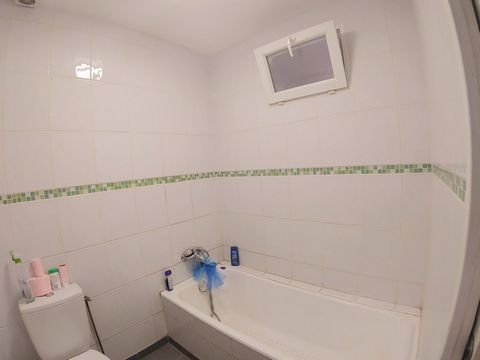 photo no. 11