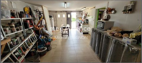 photo no. 10