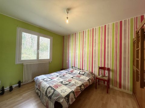 photo no. 10