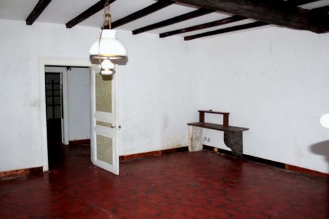 photo no. 7
