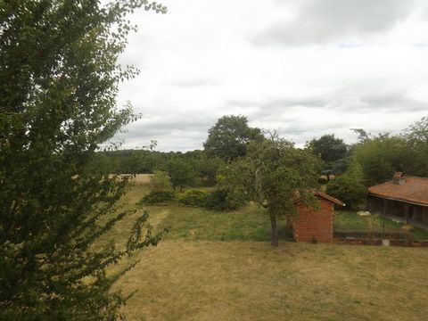photo no. 16
