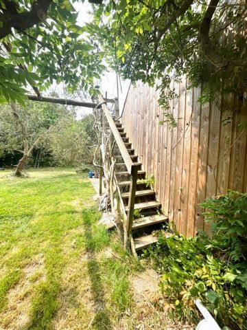 photo no. 16